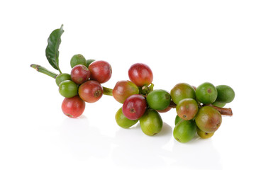 Coffee cherry isolate on white background