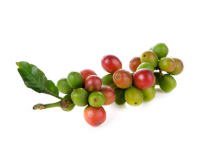 Coffee cherry isolate on white background - 99385138
