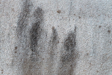 White walls are textured