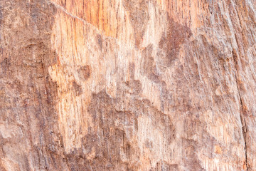 wood texture background
