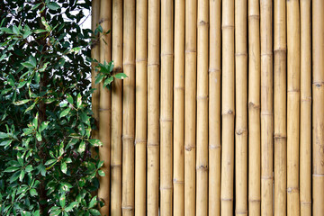 Bamboo fence with plants