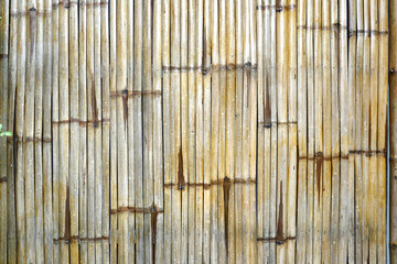 Close up of bamboo fence