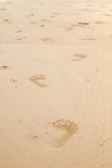 Fototapeta na wymiar footprints on the beach at sunset time