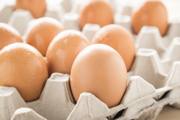 Eggs