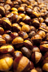 Chestnut