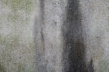 White walls are textured