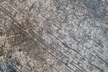 the old concrete wall.