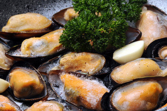 Mytilus galloprovincialis Mitilo mediterraneo Miesmuscheln aus Galicien Mejill&oacute;n ムラサキイガイmediterr&aacute;neo Черноморская мидия Cozze 地中海貽貝 surgelate 