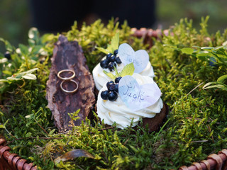 Wedding rings and cupcakes with blueberries on moss