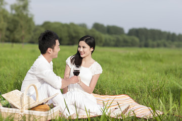 Cheerful young couple having a picnic on the grass