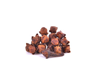 Spice cloves on white background