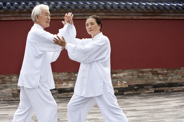 Senior Couple Practicing Tai Chi, Temple of Heaven
