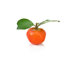Malpighia glabra,Acerola fruit on white background