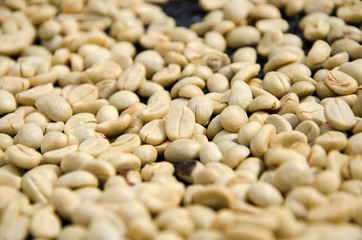 Coffee Beans