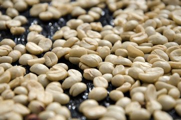 Coffee Beans