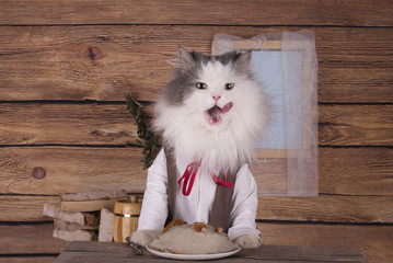 Cat in the Lithuanian national costume is going to dinner zeppel