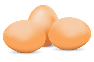 Chicken eggs.