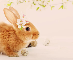 Red rabbit with Easter eggs