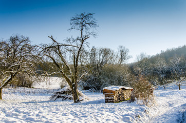 Winterlandschaft mit Apfelb&auml;umen und Brennholz