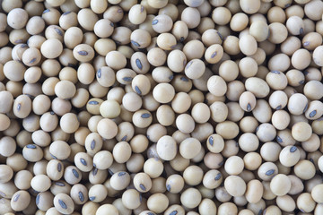 top view of soy beans background