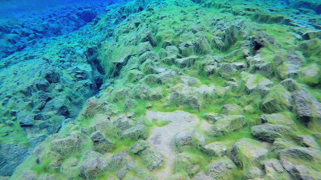 Iceland Silfra Thingvellir river Tectonic volcanic Plates diver