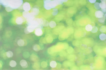 Green nature bokeh on canvas background, pastel background - 99406389