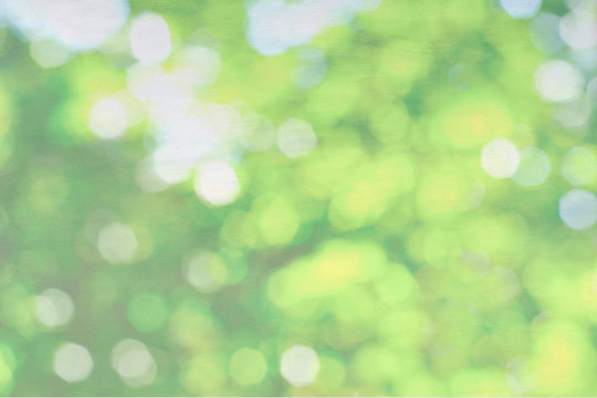 Green nature bokeh on canvas background, pastel background