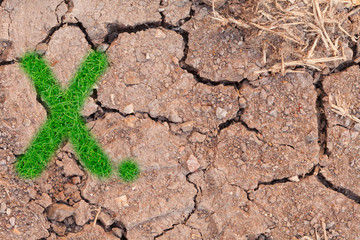 grass number figure on soil background