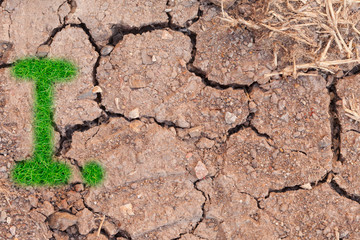 grass number figure on soil background