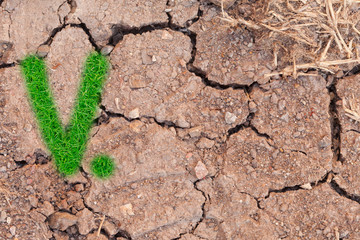grass number figure on soil background