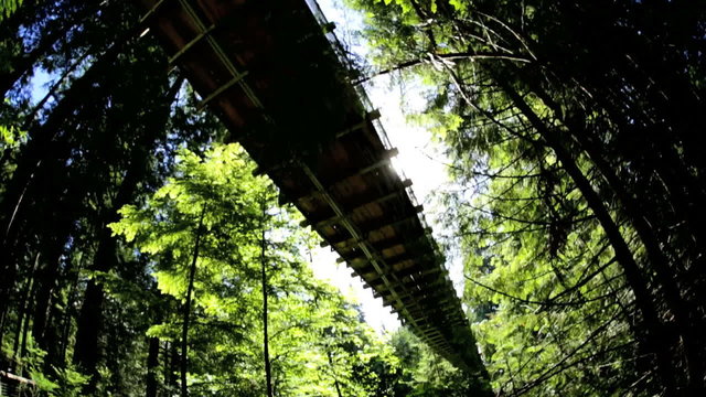 Elevated Capilano suspension footbridge walkway Treetops Eco forest Canada