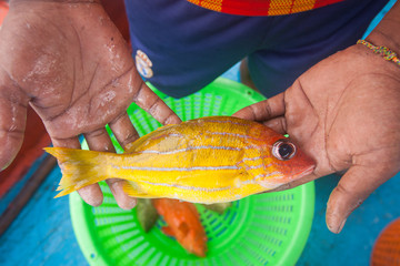 fisherman holding yellow fish on hand on the fishing boat