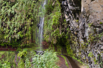 Fototapeta na wymiar Trail at Levada Do Rei through an ancient laurel forest