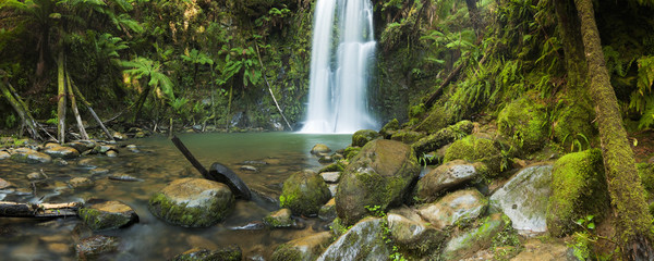 Obraz premium Rainforest waterfalls, Beauchamp Falls, Australia