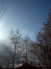 Alberi controsole con montagne di sfondo, alberi sole e montagne