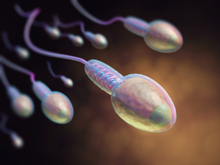 Human reproduction. Image concept of sperm.