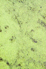 Designed grunge paper texture