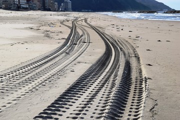 海岸の轍（わだち）／海岸の砂浜を四輪駆動車が通ったあとに残る車輪の跡（轍）を撮影した写真です。