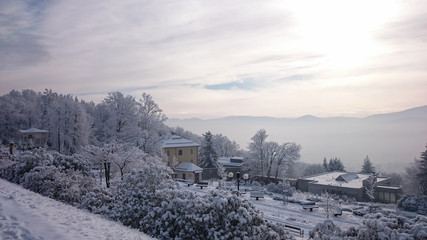 Fototapeta premium Trees under snow at the winter time