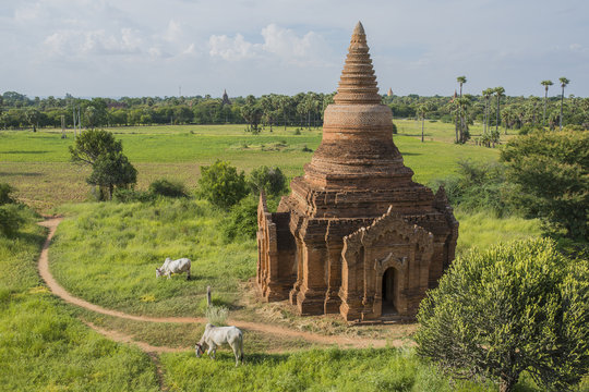 Templo en Bagan