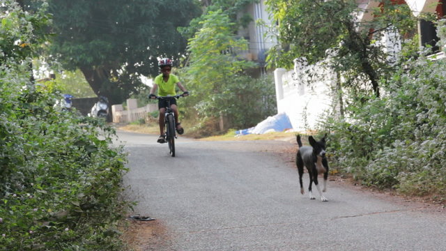 Young boy cycling with his pet dog in neighborhood road