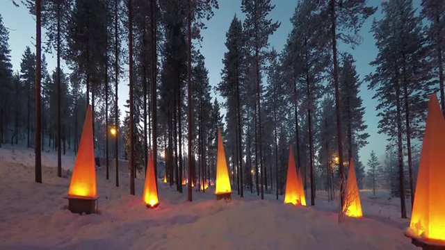 Forest near the Santa park: Winter scene with flashlights, Time-lapse 