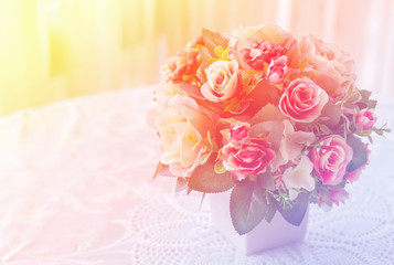 colourful rose flower