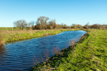 Narrow stream on a sunny day in a rural area