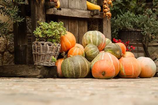Ripe pumpkins stacked