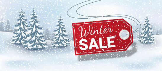 Winter sale landscape background with label