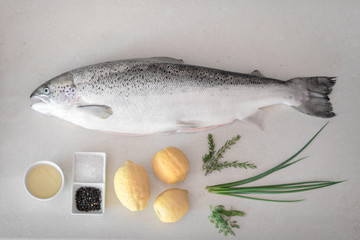 Raw salmon fish on table