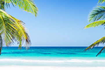 Obraz na płótnie Canvas Tropical vacation beach summer sea view. Palm trees over the background of turquoise sea and blue sky at exotic white sandy beach in the Caribbean sea