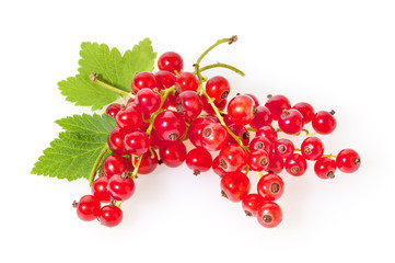 Red currant isolated on white background