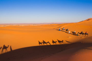 Fototapeta na wymiar Camel safari on Maroko desert
